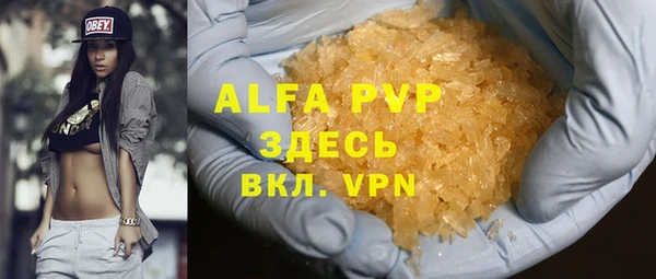 крисы Баксан