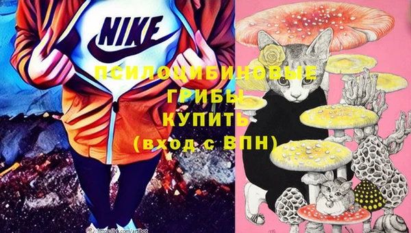 крисы Баксан