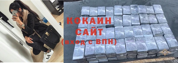 крисы Баксан