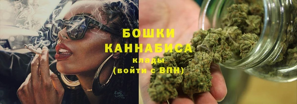 крисы Баксан