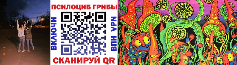 Псилоцибиновые грибы Psilocybe  Пугачёв 